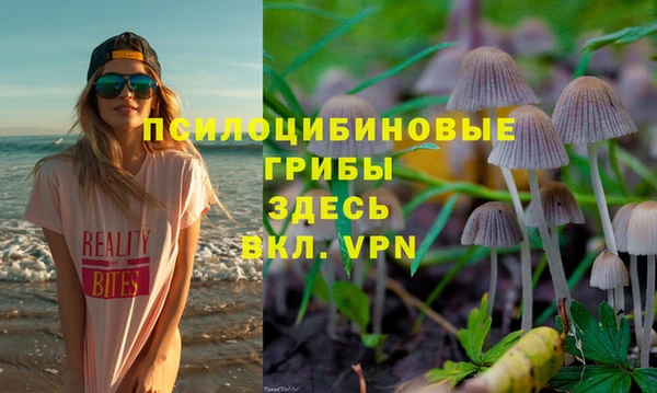 прущие крисы Дмитровск