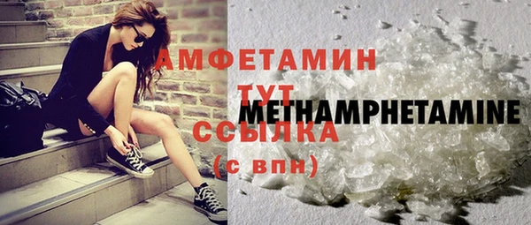 PSILOCYBIN Дмитриев