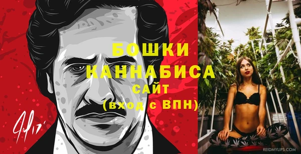 PSILOCYBIN Дмитриев