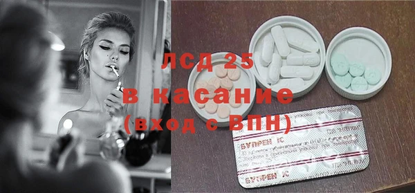 PSILOCYBIN Дмитриев