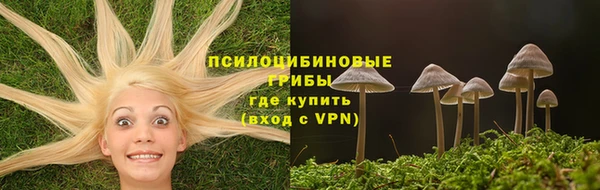 каннабис Дмитров