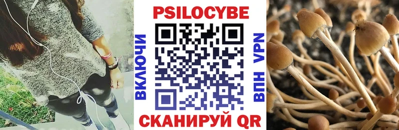 Купить закладки  Камызяк  Галлюциногенные грибы GOLDEN TEACHER 